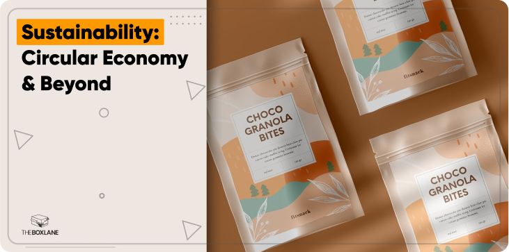 Sustainability: Circular Economy and Beyond