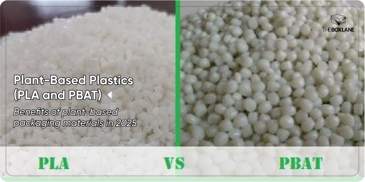 Plant-Based Plastics (PLA and PBAT)