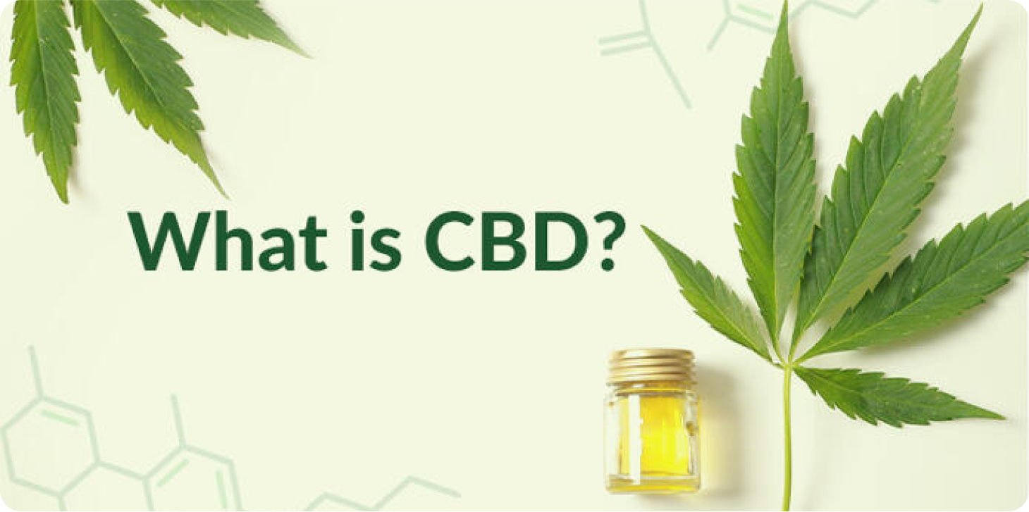 What is CBD? | The Box Lane