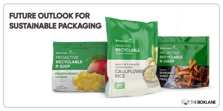 future_outlook_for_sustainable_packaging