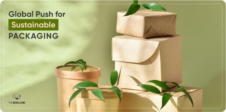 Custom Eco-Friendly Packaging: A Complete Guide for Businesses