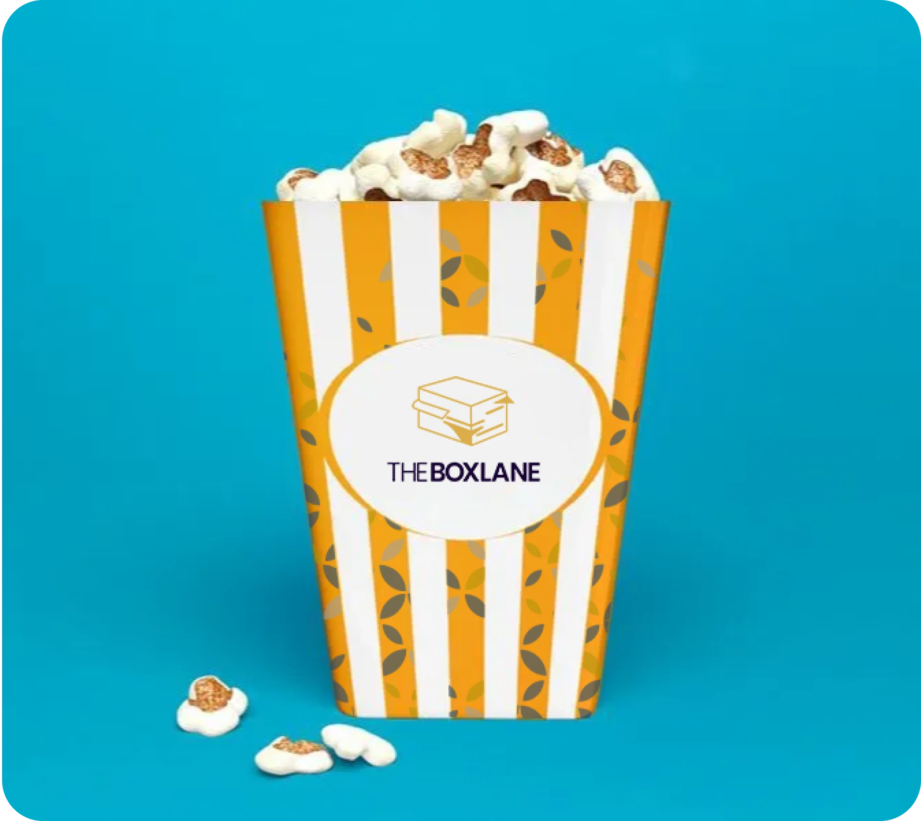 Choose The Box Lane for Custom Popcorn Boxes | The Box Lane