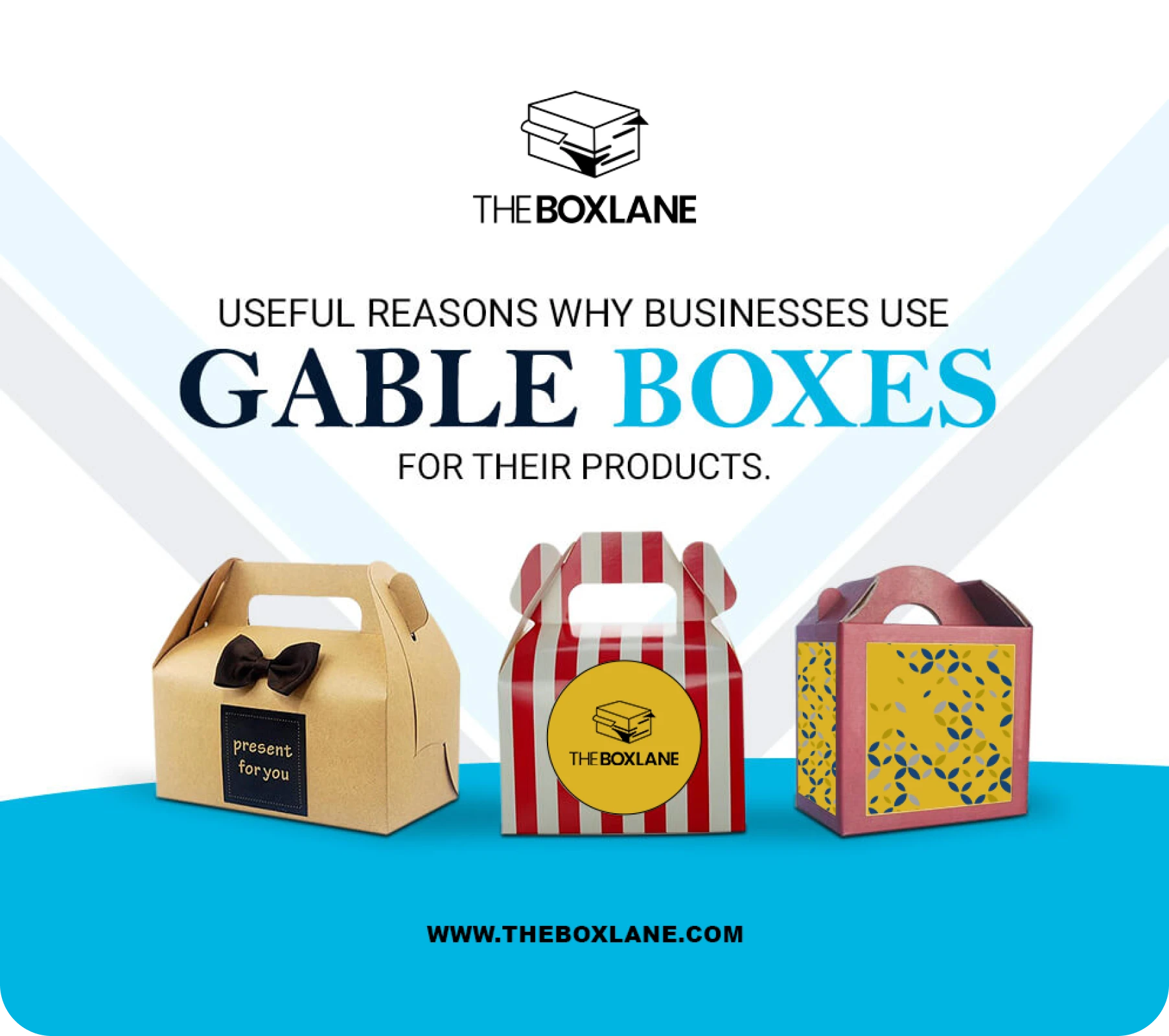 Choose The Box Lane for Large Gable Boxes Packaging | The Box Lane